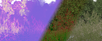 Landscape with Opacity Micromaps